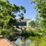 新緑が最高に気持ちいい!【立川グリーンスプリングス】