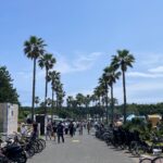 初めての湘南ライフ!どこに住むのが正解??【藤沢、茅ヶ崎、辻堂】
